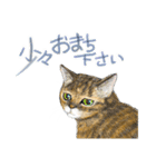 猫に丁寧な言葉遣いとビジネス用語を添えて（個別スタンプ：7）