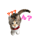 KQHHoooo（個別スタンプ：1）