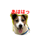 KQHHoooo（個別スタンプ：4）