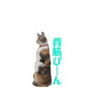 KQHHoooo（個別スタンプ：8）