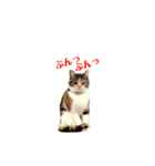 KQHHoooo（個別スタンプ：9）