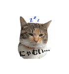 KQHHoooo（個別スタンプ：10）