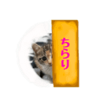 KQHHoooo（個別スタンプ：13）