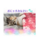 KQHHoooo（個別スタンプ：14）