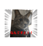KQHHoooo（個別スタンプ：15）