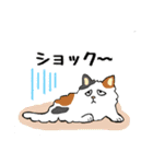 毎日モフねこスタンプ（個別スタンプ：3）