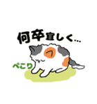 毎日モフねこスタンプ（個別スタンプ：6）