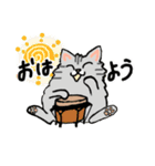 毎日モフねこスタンプ（個別スタンプ：11）