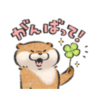 可愛い嘘のカワウソ15（個別スタンプ：17）