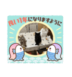 にゃんずandおまごちゃん（個別スタンプ：40）