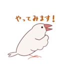 えびしっぽ文鳥 2（個別スタンプ：10）