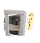 むさし＆ぼんちゃん②（個別スタンプ：5）