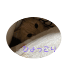 にゃんこのレオンちゃん（個別スタンプ：12）