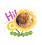ふうちゃん成長してるね^ ^（個別スタンプ：3）