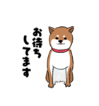 柴犬ハナちゃんスタンプ（個別スタンプ：12）