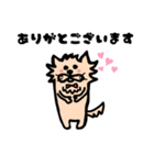 ポメラニアンのぱうち君（個別スタンプ：6）