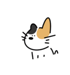 いつなんどきにも使えるいぬねこスタンプ（個別スタンプ：21）