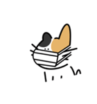 いつなんどきにも使えるいぬねこスタンプ（個別スタンプ：24）