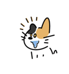 いつなんどきにも使えるいぬねこスタンプ（個別スタンプ：29）