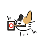 いつなんどきにも使えるいぬねこスタンプ（個別スタンプ：30）
