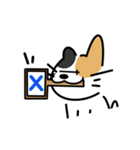 いつなんどきにも使えるいぬねこスタンプ（個別スタンプ：31）
