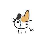 いつなんどきにも使えるいぬねこスタンプ（個別スタンプ：35）