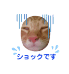 たわなつ4（個別スタンプ：9）