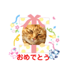 たわなつ4（個別スタンプ：10）