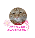 たわなつ4（個別スタンプ：14）