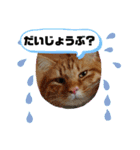 たわなつ4（個別スタンプ：16）