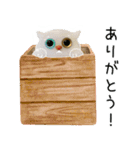 箱入り猫のやさしい敬語スタンプ（個別スタンプ：1）