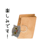 箱入り猫のやさしい敬語スタンプ（個別スタンプ：10）