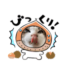 しゃーくさま（個別スタンプ：7）