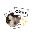 しゃーくさま（個別スタンプ：11）