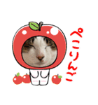しゃーくさま（個別スタンプ：13）
