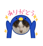 しゃーくさま（個別スタンプ：23）