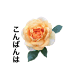 yasuおばさんの薔薇言葉R4-1（個別スタンプ：4）