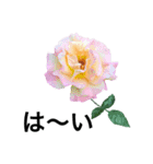 yasuおばさんの薔薇言葉R4-1（個別スタンプ：13）