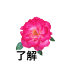 yasuおばさんの薔薇言葉R4-1（個別スタンプ：14）