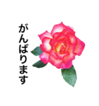 yasuおばさんの薔薇言葉R4-1（個別スタンプ：21）