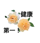 yasuおばさんの薔薇言葉R4-1（個別スタンプ：32）
