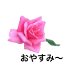 yasuおばさんの薔薇言葉R4-1（個別スタンプ：38）