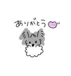 ミニチュアシュナウザーのチコちゃん（個別スタンプ：6）
