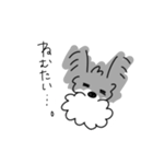 ミニチュアシュナウザーのチコちゃん（個別スタンプ：8）