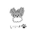 ミニチュアシュナウザーのチコちゃん（個別スタンプ：10）