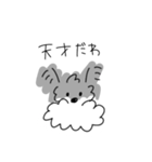 ミニチュアシュナウザーのチコちゃん（個別スタンプ：16）