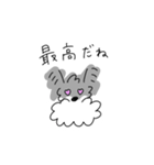 ミニチュアシュナウザーのチコちゃん（個別スタンプ：24）