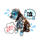 カッコいいカール！一言（個別スタンプ：1）