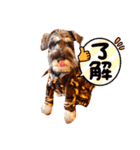 カッコいいカール！一言（個別スタンプ：2）