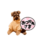 カッコいいカール！一言（個別スタンプ：4）